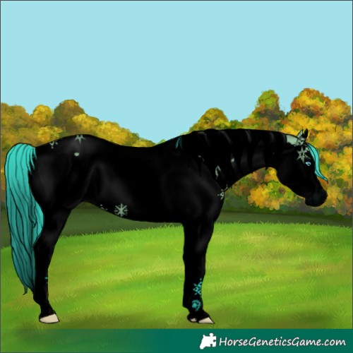 Horse Color:Void Watercolor White Spotted Grullo Splash Tobiano