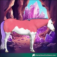Horse Color:Watercolor Liver Chestnut Splash 