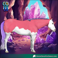 Horse Color:Watercolor Liver Chestnut Splash