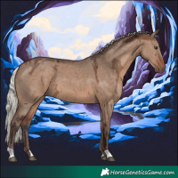 Horse Color:Silver Brown Ice Dun 