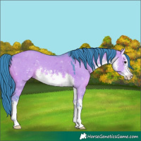 Horse Color:Watercolor White Spotted Smoky Grullo 