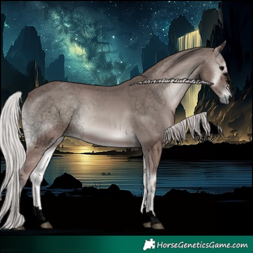 Horse Color:Void Platinum Silver Blue Onyx 