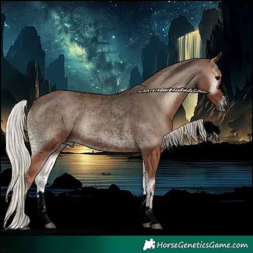 Horse Color:Void Silver Blue Onyx 