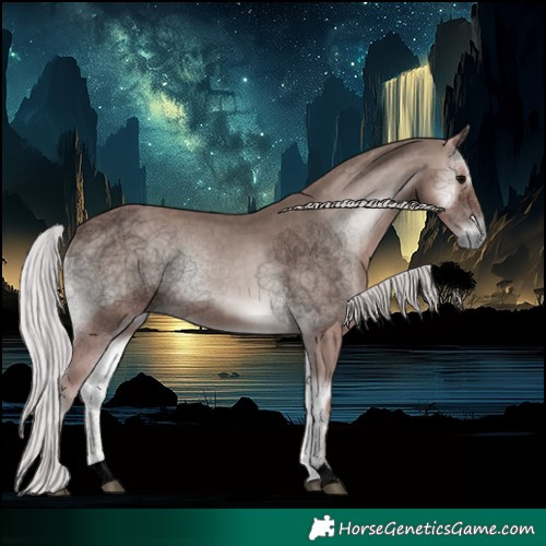 Horse Color:Void Platinum Silver Blue Onyx 