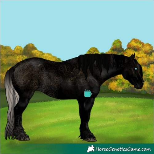 Horse Color:Void Chocolate Palomino Sabino Splash 