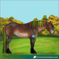 Horse Color:Void Painted Brown Sabino