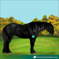 Horse Color:Void Black Ice Sabino Splash