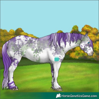 Horse Color:Watercolor Brown Sabino Splash Tobiano 