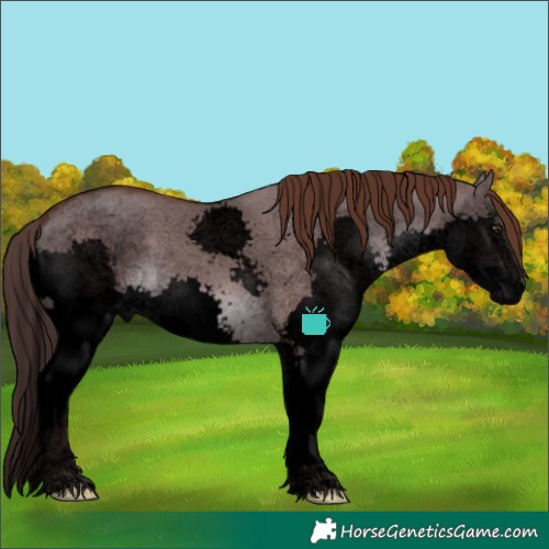 Horse Color:Void Liver Red Dun Sabino Splash 