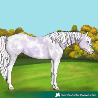 Horse Color:Watercolor White Spotted Cremello Splash