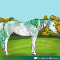 Horse Color:Watercolor White Spotted Brown Chinchilla Splash 
