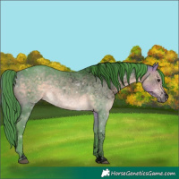 Horse Color:Void Watercolor Buckskin