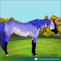 Horse Color:Void Watercolor Buckskin Splash 