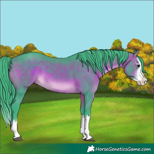 Horse Color:Watercolor Brown Splash