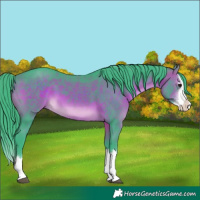 Horse Color:Watercolor Brown Splash 