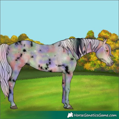 Horse Color:Void Nacre Watercolor White Spotted Silver Buckskin 