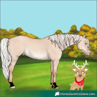 Horse Color:Void Chocolate Silver Classic Champagne Dun 