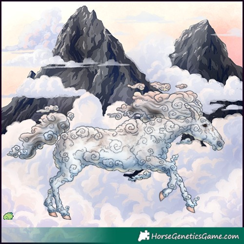 Horse Color:White Spotted Brown Roan Frame 