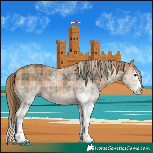 Horse Color:Plaid  White Spotted Bay Splash 