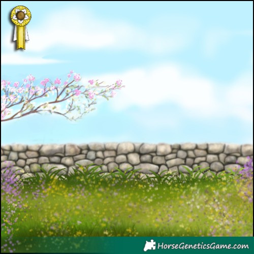 Horse Color:Bay Roan 