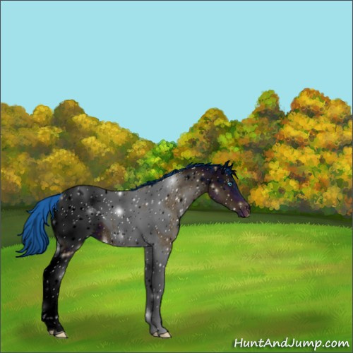 Horse Color:ERROR: UNKNOWN ANOMALY