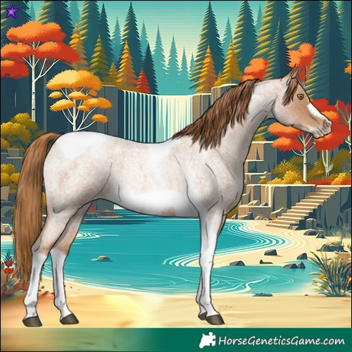 Horse Color:Red Roan Pearl Tobiano Frame 