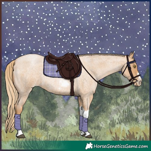 Horse Color:Red Roan Pearl Tobiano Frame