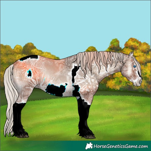 Horse Color:Silver Blue Onyx Ice Sabino Tobiano Frame Rabicano 