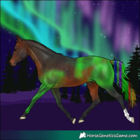 Horse Color:Painted Bay 