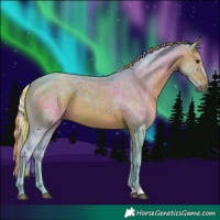 Horse Color:Painted Watercolor Silver Brown 