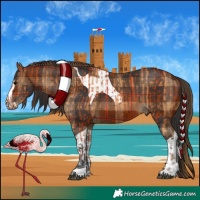Horse Color:Plaid  Bay Tobiano  and Plaid  Bay Splash Tobiano 