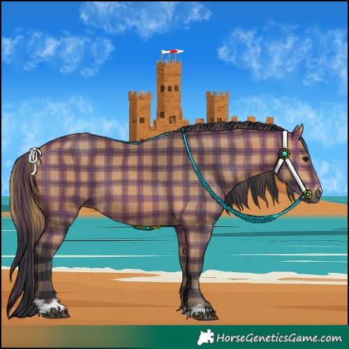 Horse Color:Plaid  Bay 