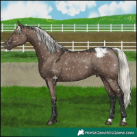 Horse Color:Liver Red Dun Mushroom Snowcap 