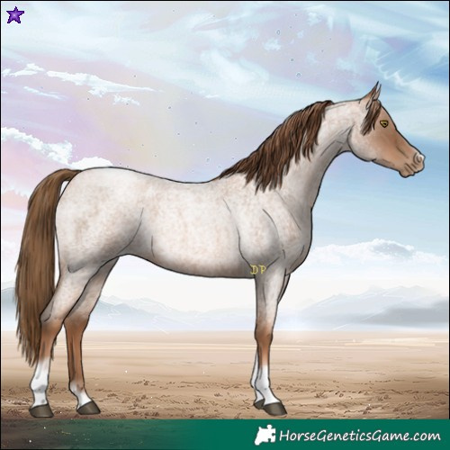 Horse Color:Liver Red Roan Pearl Tobiano Frame