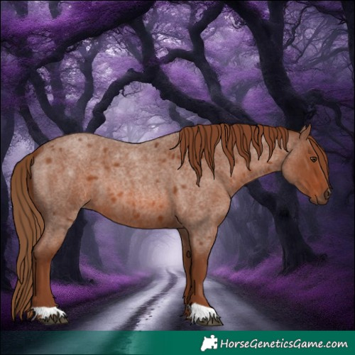 Horse Color:Red Roan 