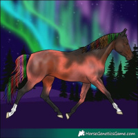Horse Color:Painted Liver Chestnut 