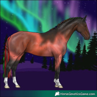 Horse Color:Painted Liver Chestnut 