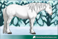 Horse Color:White Spotted Liver Chestnut Mushroom Appaloosa