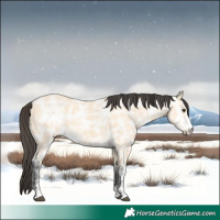 Horse Color:Buckskin Ice 
