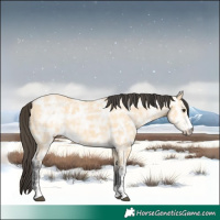 Horse Color:Buckskin Ice 