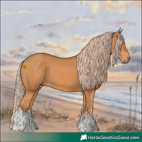 Horse Color:White Spotted Chestnut 