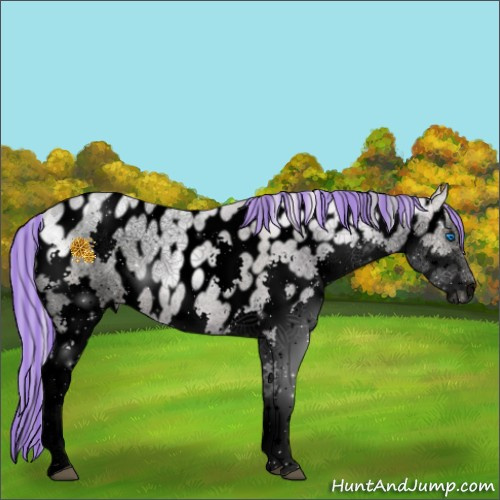 Horse Color:Void Painted Watercolor Silver Buckskin Ice Pearl Dun Splash Tobiano Appaloosa 