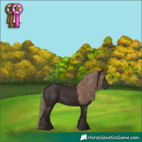 Horse Color:Liver Chestnut  and Liver Chestnut 