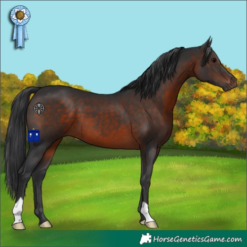 Horse Color:Brown 