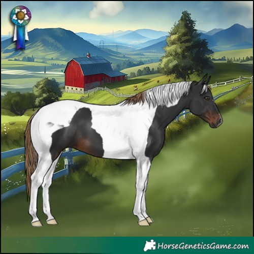 Horse Color:Gray Liver Chestnut Tobiano 