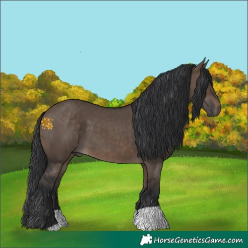Horse Color:Brown Dun 