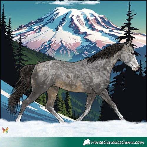 Horse Color:White Spotted Buckskin Ice Rabicano 