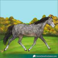 Horse Color:White Spotted Buckskin Ice Rabicano 