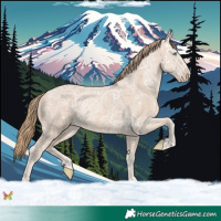 Horse Color:Perlino Ice 
