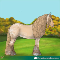 Horse Color:Red Dun Ice 